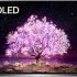 Lg Oled C1 55, il migliore da comprare – La classifica aggiornata